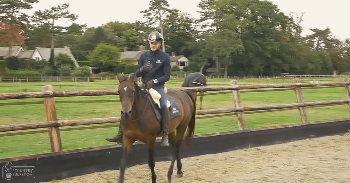 A rider in a dark blue equestrian jacket and helmet is riding a dark brown thoroughbred horse with white markings on its face and legs within an enclosed outdoor riding arena bordered by wooden fencing. The lush green fields, trees, and parts of houses suggest a rural or suburban setting during spring or summer under overcast skies.