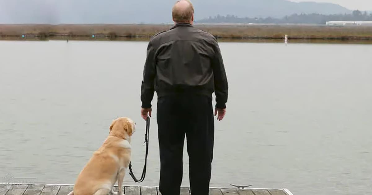 An older adult male wearing a dark jacket stands on a dock near a body of water, accompanied by an adult golden retriever dog with light brown fur and white chest markings.