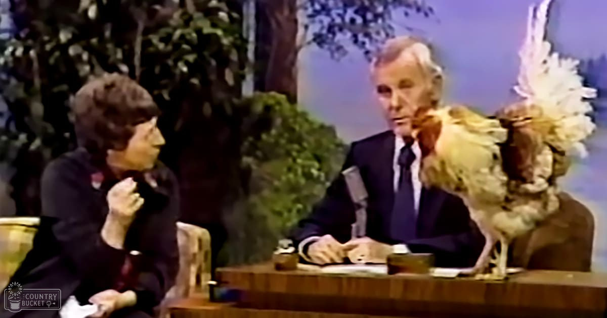 Talk show host in an indoor studio setting with a middle-aged male guest, both wearing formal attire. A fluffy dog with white fur and darker markings sits nearby, surrounded by studio furniture and greenery.