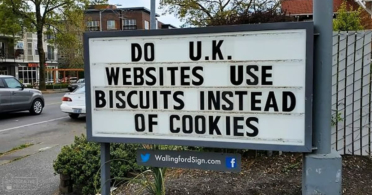 Signboard reading 'DO U.K. WEBSITES USE BISCUITS INSTEAD OF COOKIES' with social media icons, parked cars and trees lining a street in Wallingford, Connecticut.