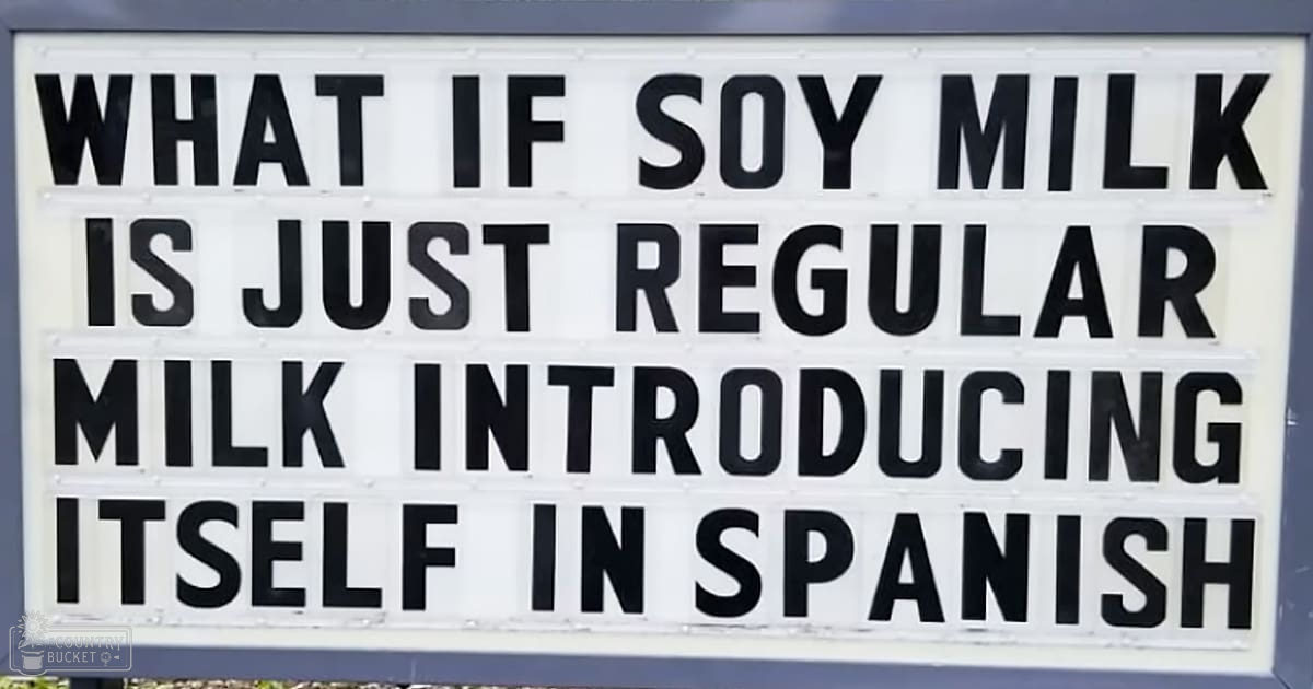 A humorous outdoor sign reading 'WHAT IF SOY MILK IS JUST REGULAR MILK INTRODUCING ITSELF IN SPANISH' placed in a public space with white and black colors dominating the scene.
