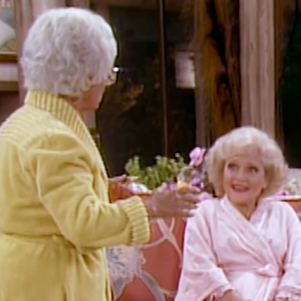 A cozy living room scene from 'The Golden Girls' with two older adult females, one wearing a yellow striped cardigan and the other a pink robe, surrounded by floral decor and natural light.