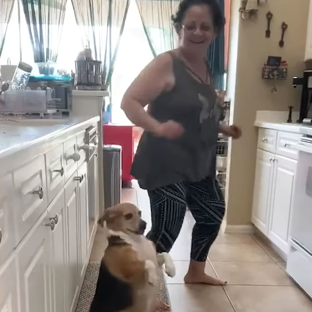 A middle-aged woman in a kitchen with a beagle mix dog, natural light through curtains, spring or summer setting.