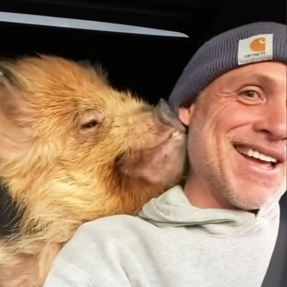 A man wearing a light gray hoodie and dark blue beanie hat sits with his golden-brown chihuahua or similar small breed dog in what appears to be the interior of a vehicle, illuminated by natural daylight.