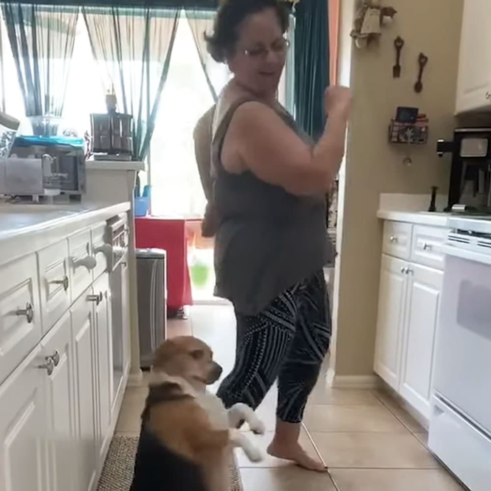 An adult female in a kitchen setting with a Beagle dog. The woman is wearing a sleeveless gray tank top and black leggings, barefoot, surrounded by white cabinetry and various kitchen items.