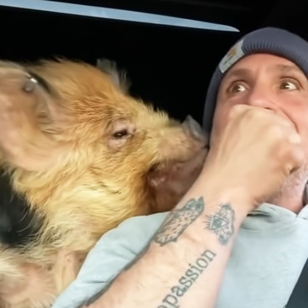 A man in a blue beanie holds an adult small breed canine, possibly a Yorkshire Terrier, inside a vehicle at night.