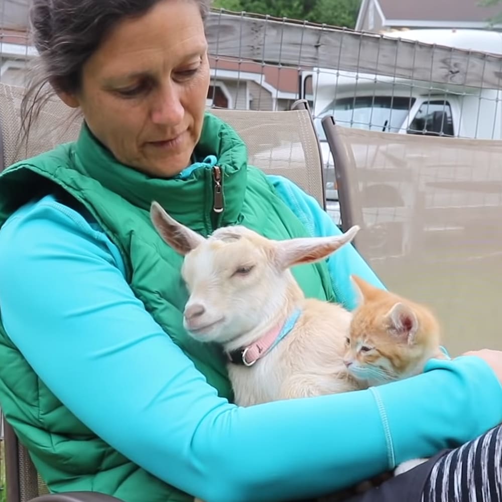 A middle-aged woman holds a Nubian goat and an orange tabby kitten in a residential outdoor setting during spring or summer, with a beige chair visible behind her.