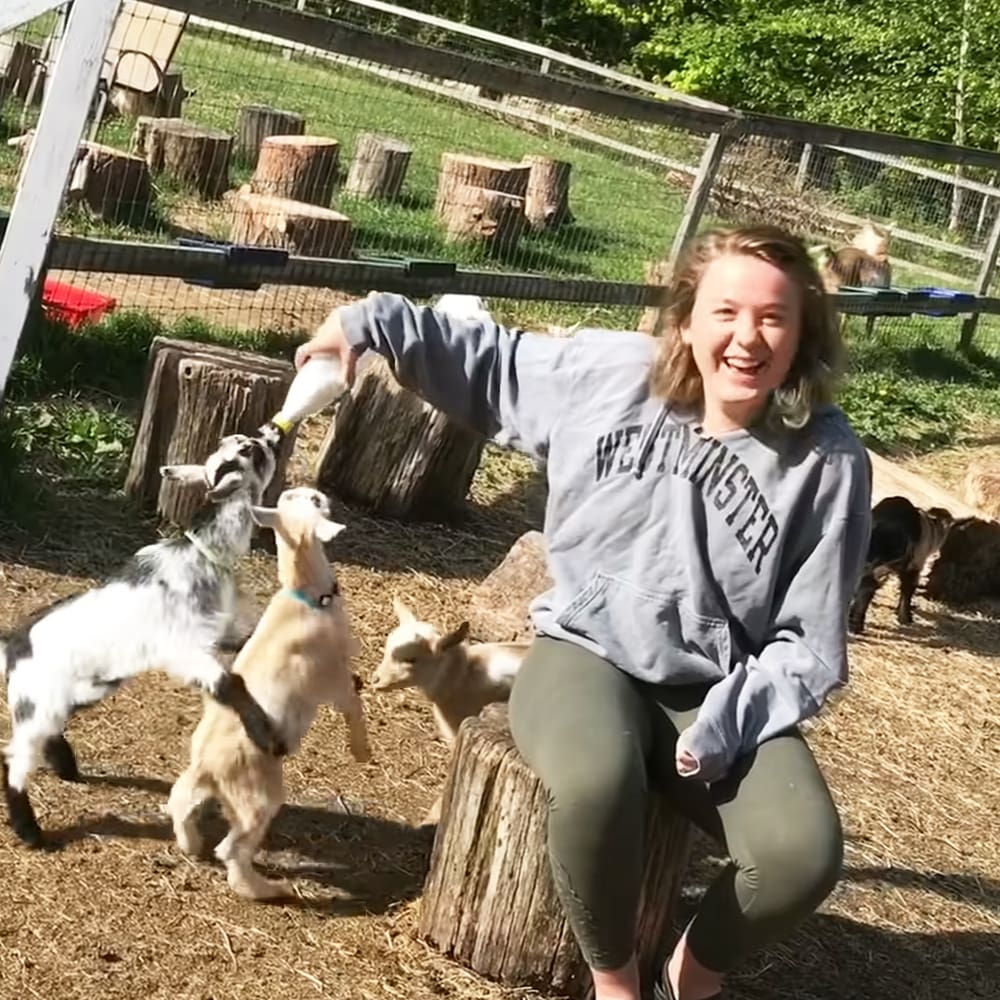 Young adult female in a sanctuary with Nubian goats, feeding bottles visible, greenery, clear daylight.