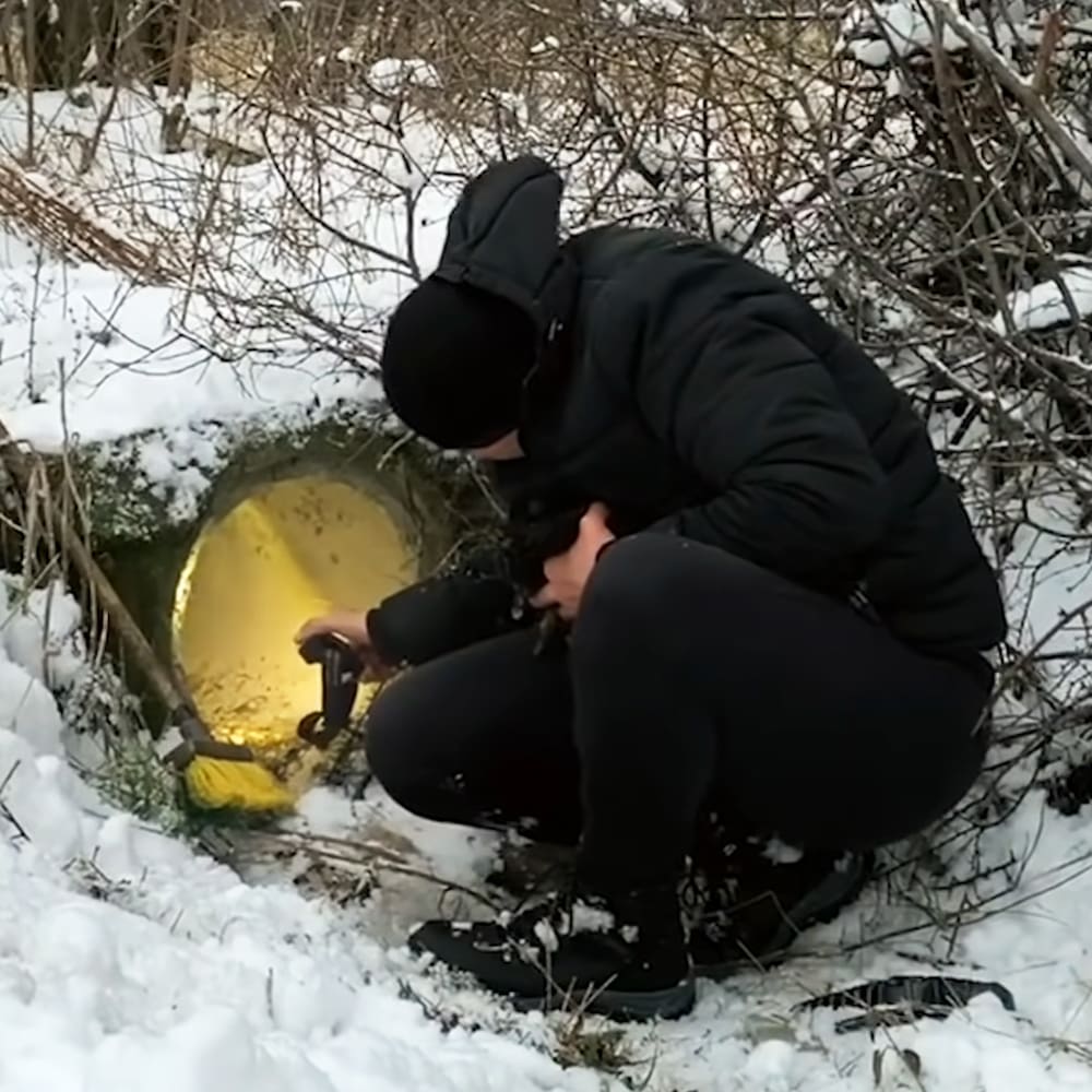 Man rescues puppies