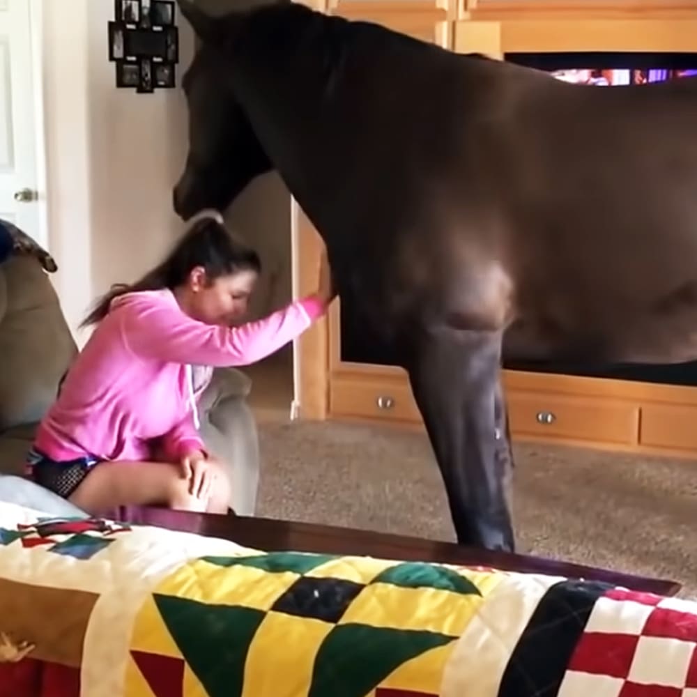 A young girl interacts with an elephant in a cozy indoor home setting with furniture like a beige couch and a quilt with colorful squares.