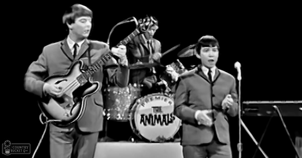 A musical performance scene with young adult males dressed in dark suits, standing on stage amidst musical instruments under dim lighting.