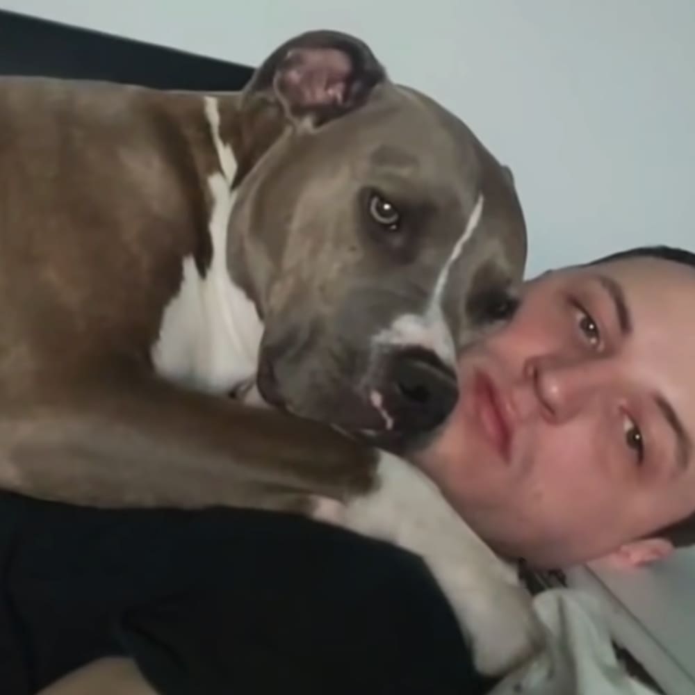 An adult male wearing a dark T-shirt with Nike logo indoors near a dog that appears to be a pit bull, possibly in a bedroom setting.