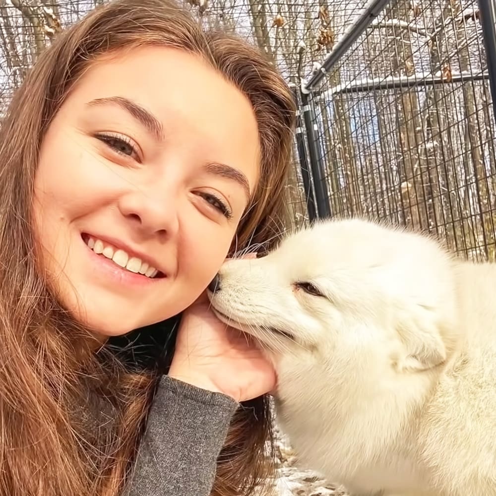 A young adult female with long brown hair, wearing a gray long-sleeved top interacts with an Arctic Fox in a park-like setting during daylight hours.