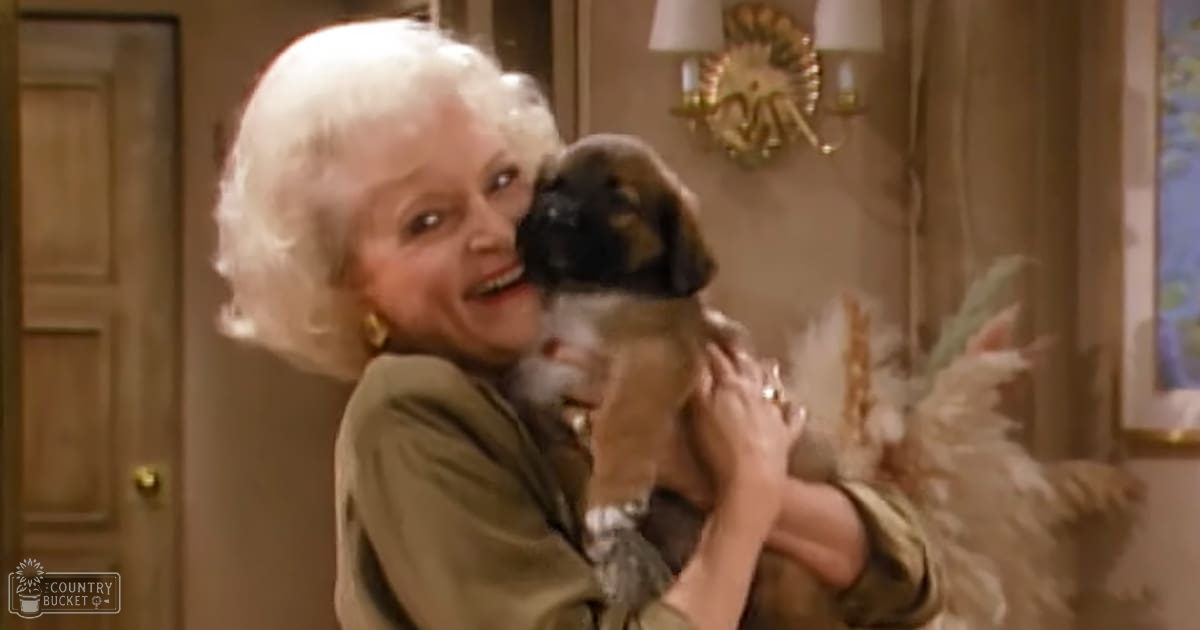 An older adult female holding a brown and white pug puppy indoors with beige walls and natural light streaming in.