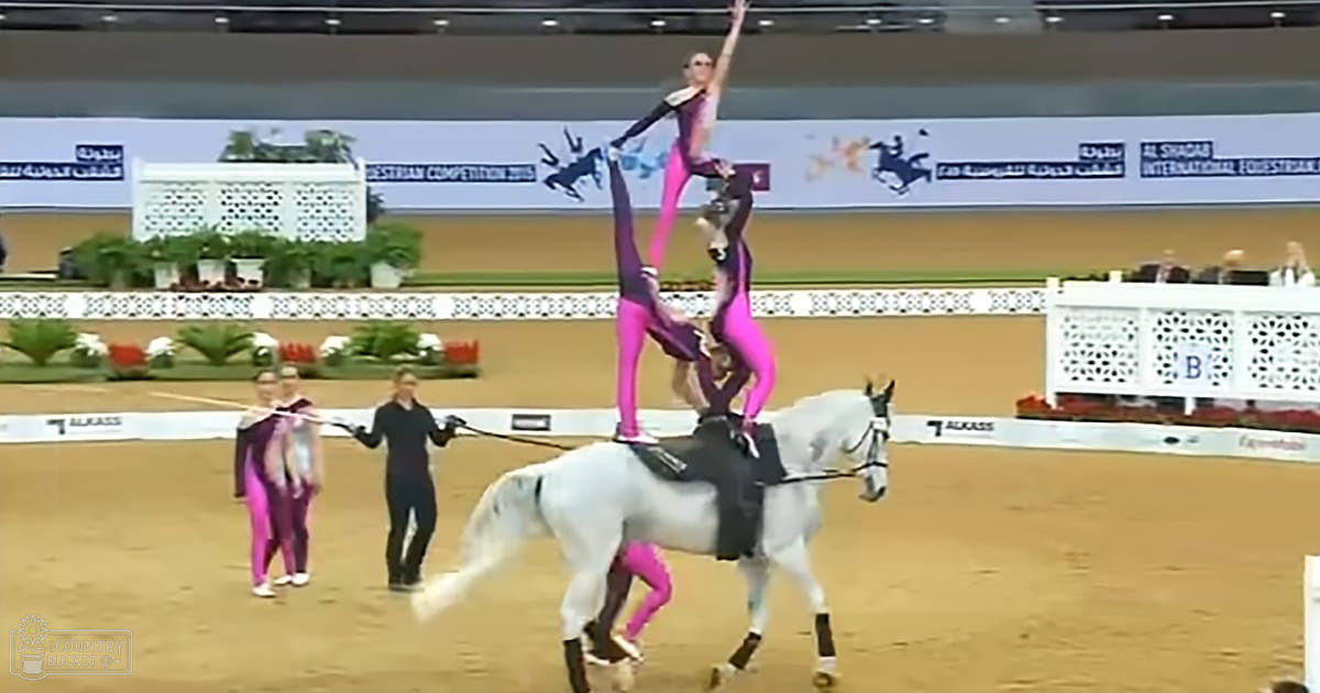 A white horse with black markings is being ridden by a young adult performer during an indoor equestrian competition in spring or summer, with spectators and event banners visible in the background.