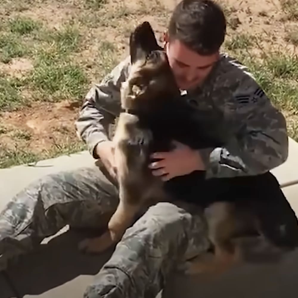A young adult male soldier in camouflage military fatigues interacts with an adult German Shepherd dog outdoors, suggesting a training or military setting. The scene is set on concrete and grassy areas under natural daylight conditions.