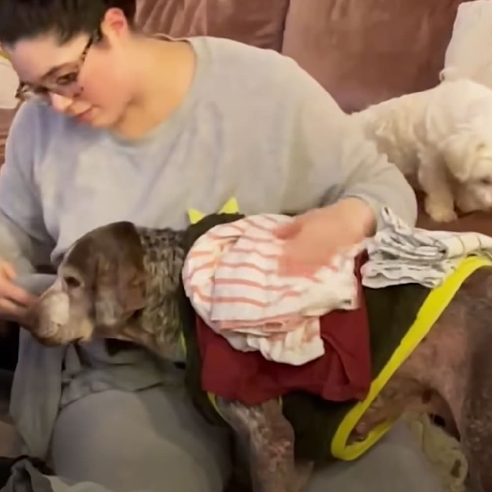 A young adult, likely female, wearing a light gray long-sleeve shirt indoors with a medium-sized dog of possibly Weimaraner breed in the background.