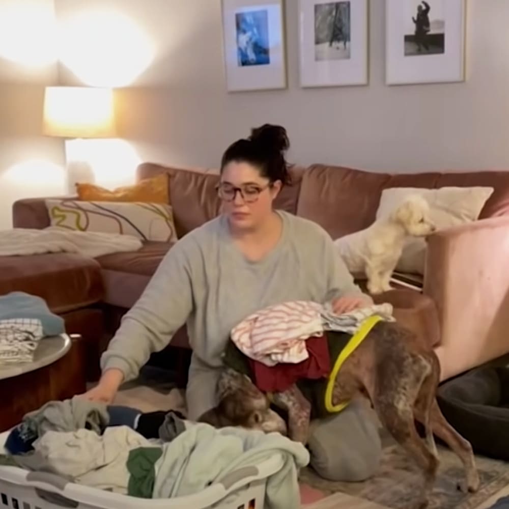 Adult female in a cozy living room with a Golden Retriever dog, wearing a light gray sweatshirt and glasses. Warm indoor lighting suggests it is evening or late afternoon.
