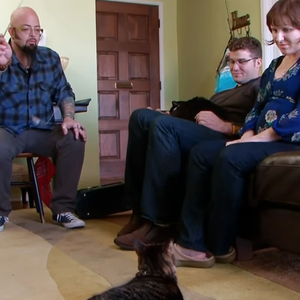 An adult male singer in a plaid shirt with dark blue and black squares, an adult male in a brown button-down shirt, and an adult female in a blue floral dress are gathered around a tabby cat in a living room setting with natural light and furniture like a leather couch and wooden door.