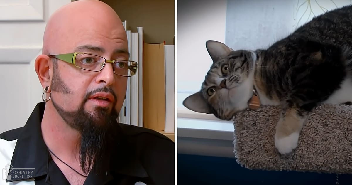 Adult male with black collared shirt and thin necklace, glasses, goatee, bald head in an indoor setting; gray and black tabby cat with white paws visible.