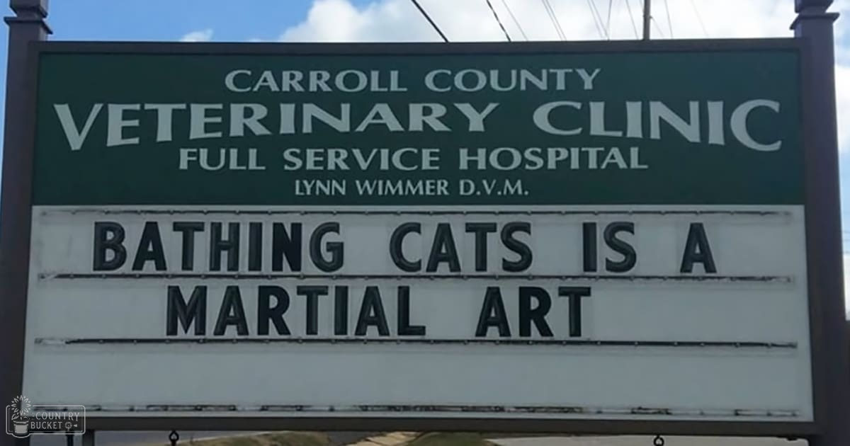 Carroll County Veterinary Clinic sign against a backdrop of clear sky with clouds, power lines, and natural daylight.