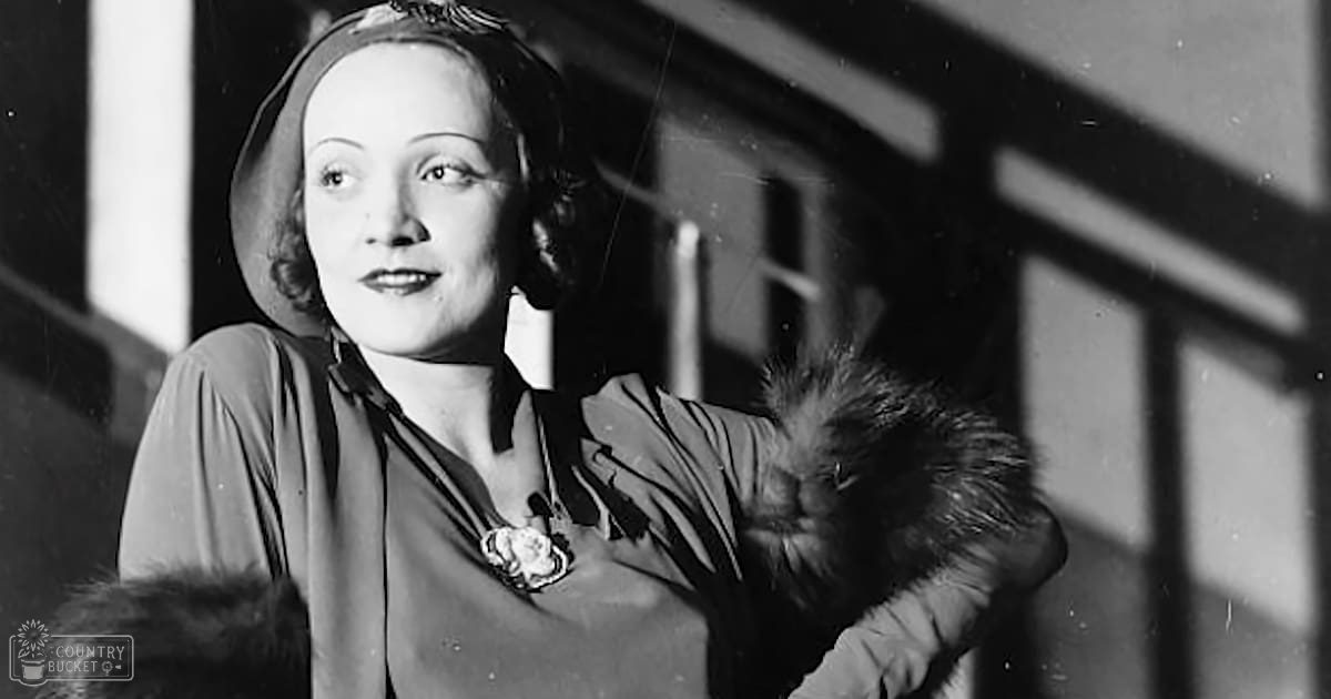 An adult female in a draped dress with fur-trimmed gloves, set against an indoor background with wooden beams, bathed in natural daylight.
