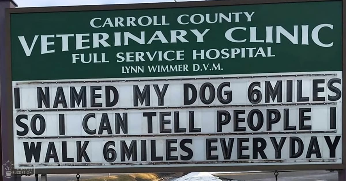 Carroll County Veterinary Clinic sign in full-service hospital setting, daytime outdoor scene with clear visibility