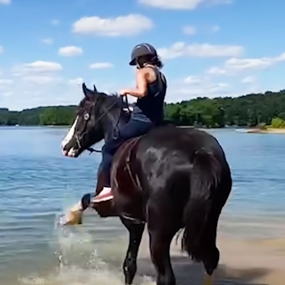 A young adult female horseback rider in a dark sleeveless top near the edge of a lake, with a Thoroughbred or similar breed horse, under bright daylight in summer.