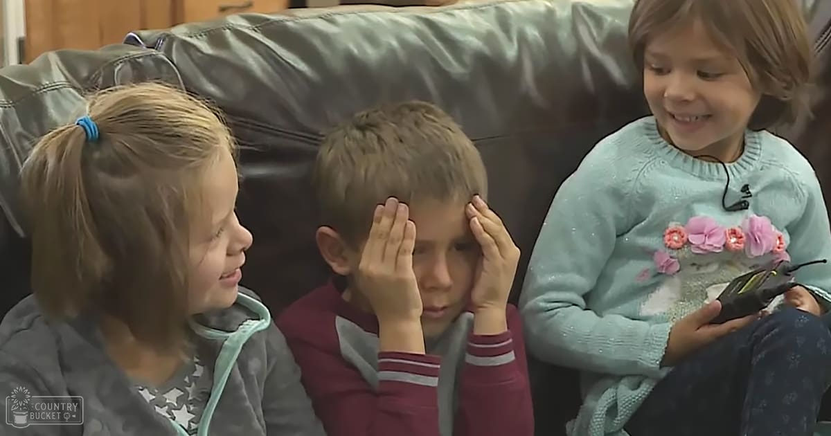 3 siblings