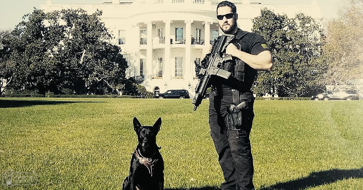 An adult male security officer in a tactical vest with a black German Shepherd dog sitting calmly in front of the White House during spring or summer.