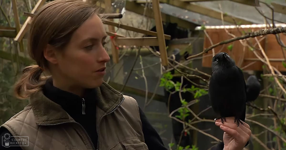 An adult female in a garden-like setting with birds, wearing a dark turtleneck under a light brown quilted vest, surrounded by green foliage and wooden structures.