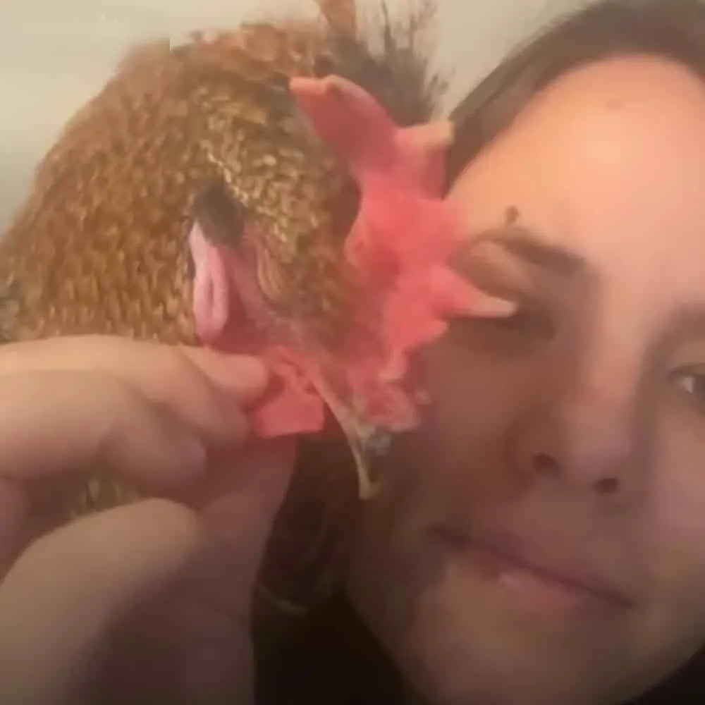 A young adult female wearing a dark turtleneck sweater indoors, with a small hedgehog nearby.