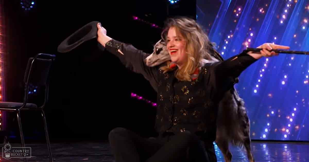 A female adult interacts playfully with a dark-furred, slender greyhound-like dog on stage in a theatrical setting under blue and white lights.