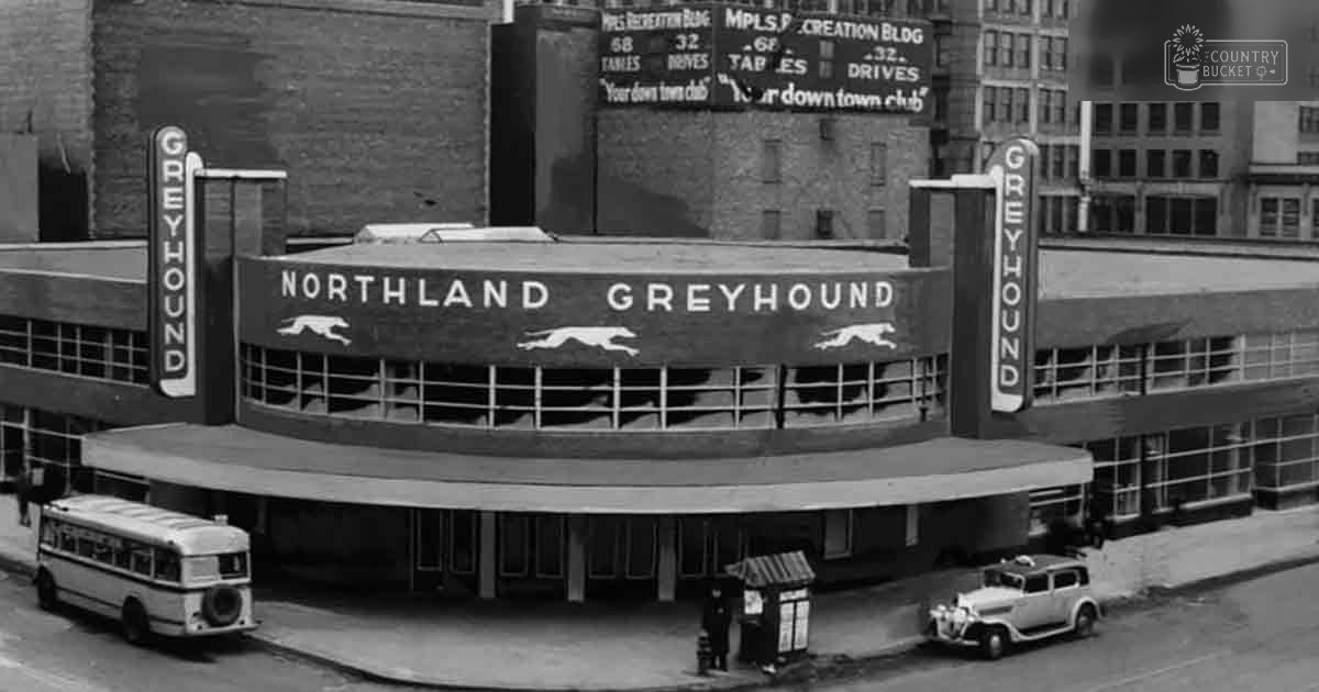 Northland Greyhound bus station with vintage vehicles in an urban setting during daytime.