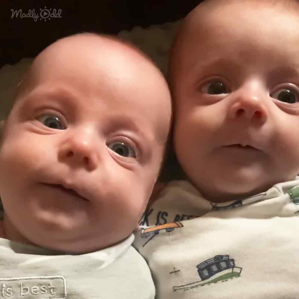 Two infant males wearing white onesies with building patterns, tightly cropped indoors in low light conditions with a dark backdrop.