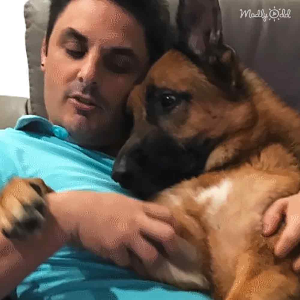 A man lying down with his German Shepherd in a home setting, casual attire, natural light, daytime.