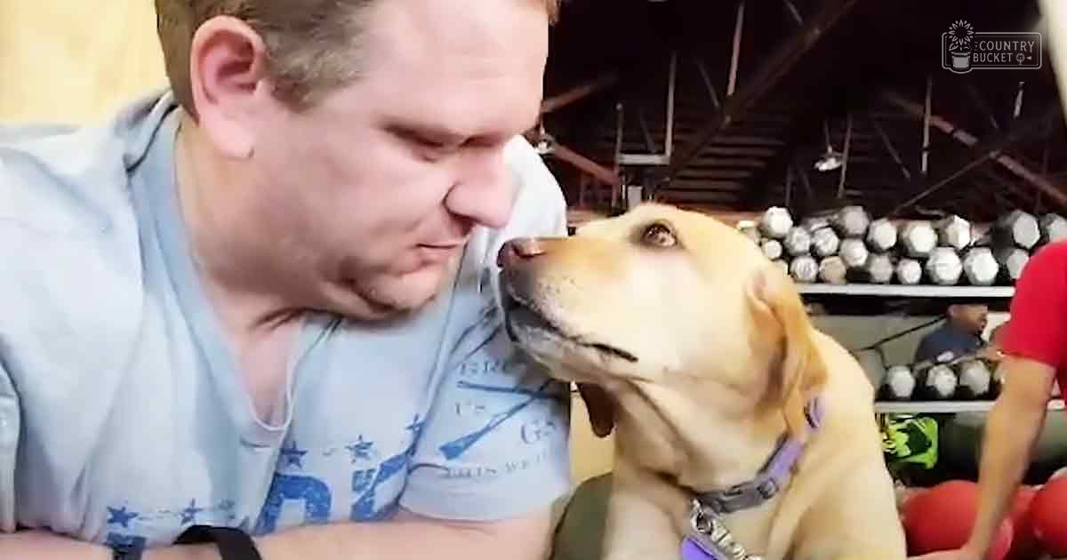An adult male interacting with a light golden Labrador Retriever in an indoor warehouse setting under natural daylight.