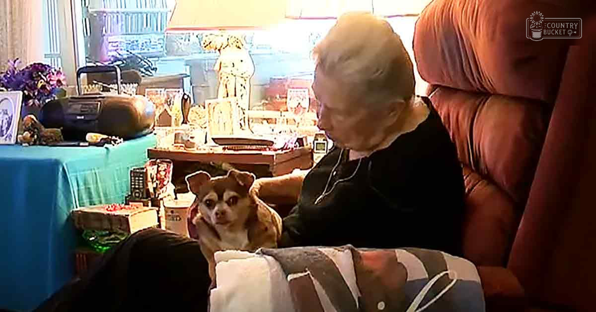 An older adult female sitting indoors with a small Chihuahua, surrounded by personal items in what appears to be a living room setting.