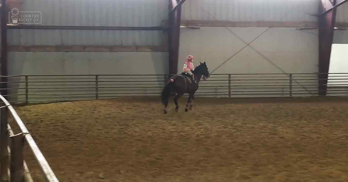A young female child riding a bay Thoroughbred horse in an indoor arena with metal fencing, dirt floor, corrugated metal walls, and structural beams.