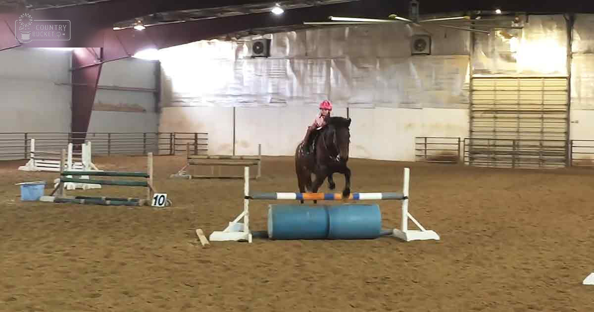 An adult female horse rider guiding a dark brown horse over an obstacle in an indoor equestrian arena with artificial lighting at night.