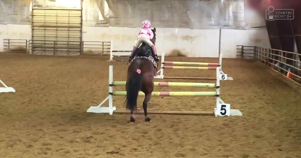A young adult female rider in a dark jacket with light accents, pink helmet, and dark pants, riding a dark-coated horse in an indoor equestrian arena with white jump poles numbered 5 and 6.