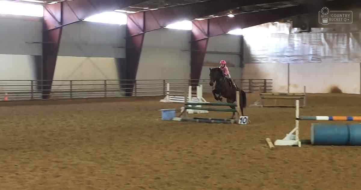 An adult female horse rider in an indoor arena with a dark-colored horse, sand flooring, metal railings, and various jumping obstacles under natural light.
