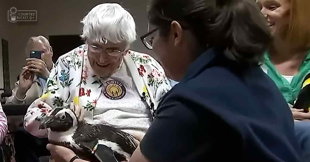 A juvenile Magellanic penguin interacts with an older adult female in a public indoor setting, surrounded by other individuals taking photos.