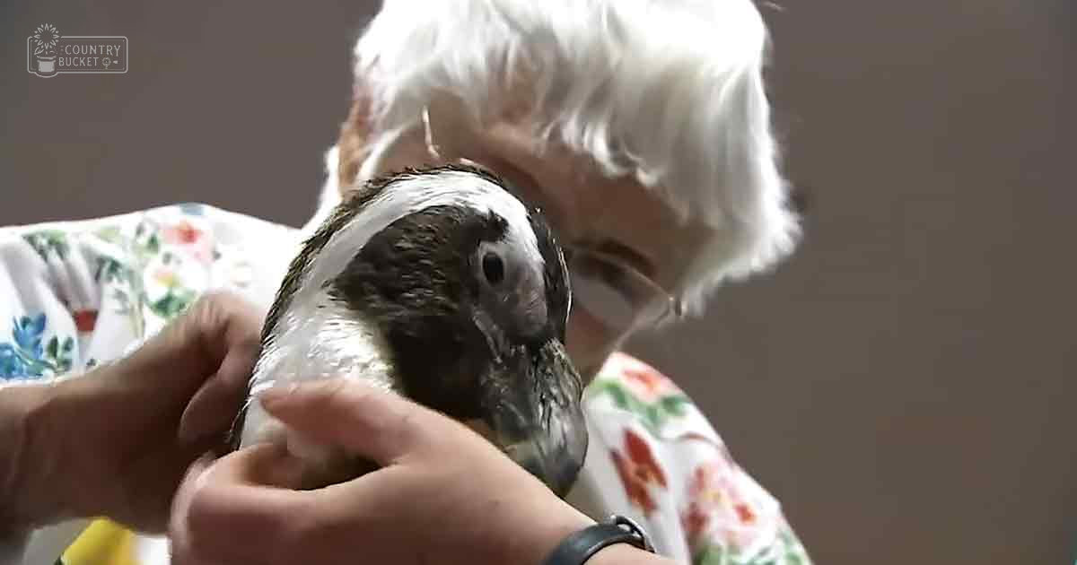 An elderly woman holding a bird indoors, with neutral-colored walls and no direct light source.