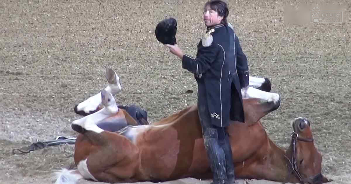 An adult female in a tailored black riding jacket with white trim and dark boots rides a brown Paint Horse with white markings in an outdoor equestrian arena during spring or summer under natural daylight.