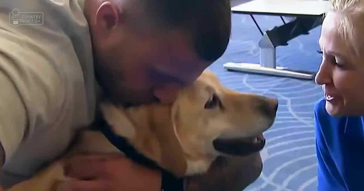A golden retriever or similar breed dog indoors, with an adult male in a light beige t-shirt and an adult female in a blue top. The setting includes a patterned blue carpet suggesting daytime indoor lighting.