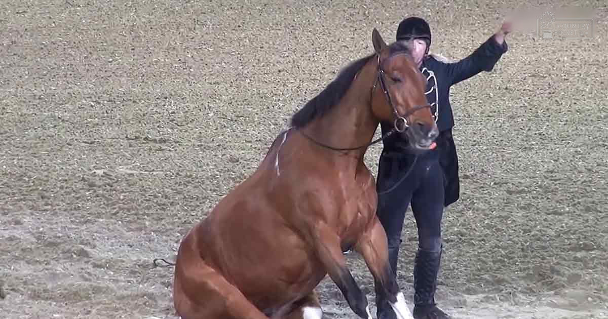 A Thoroughbred horse in an indoor arena with a rider wearing dark-colored attire and riding boots, illuminated by daytime light.