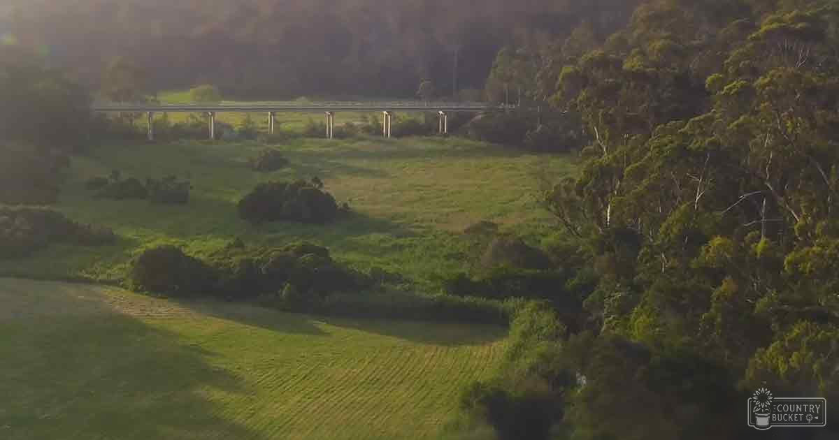 Rural landscape with fields and trees in early morning or late afternoon light.