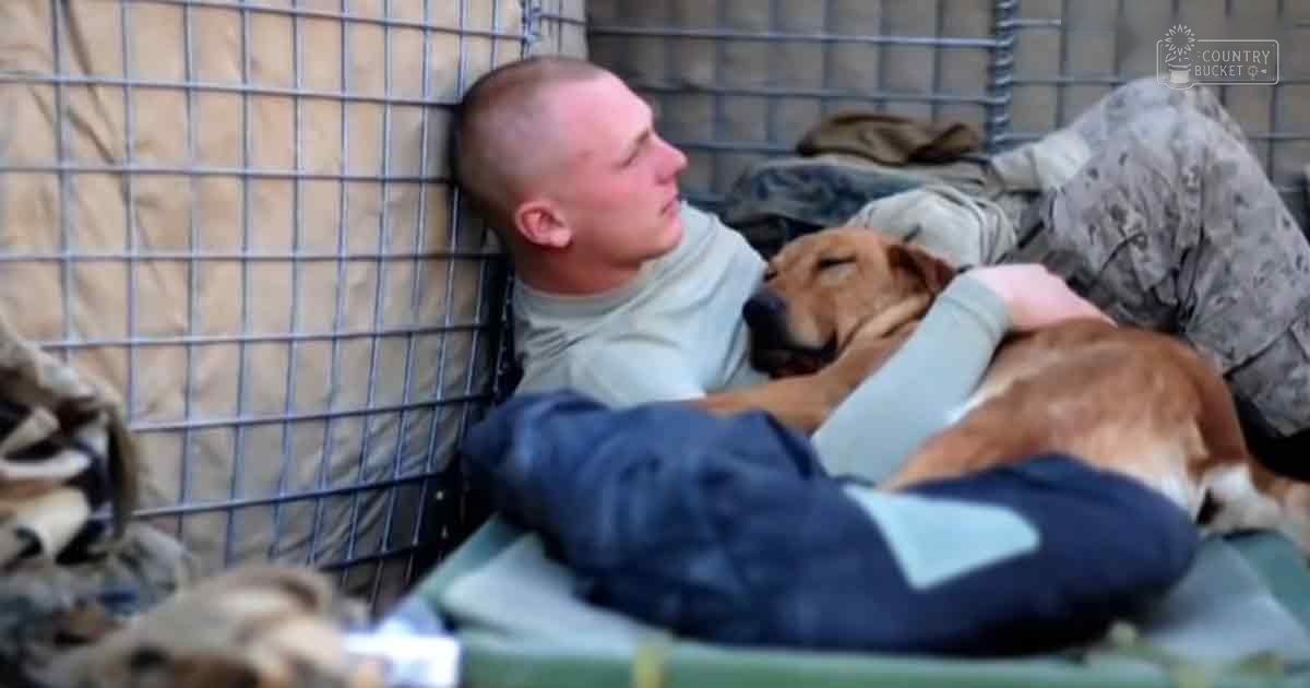 A young adult male wearing a light gray t-shirt and dark blue pants lies outdoors with a brown and white mixed breed dog, possibly a Labrador Retriever or similar large breed. The setting appears to be an outdoor area with a metal fence and what looks like a campsite or temporary shelter.