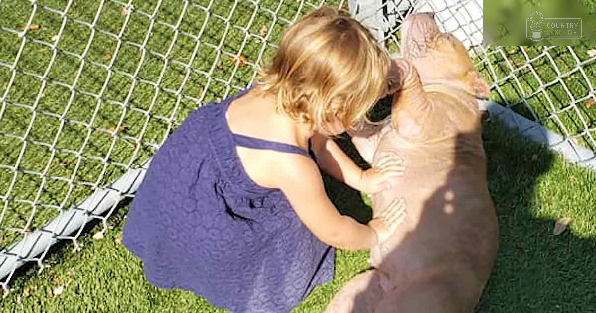 A young adult female in a purple floral dress interacts with a light brown pit bull dog in an outdoor backyard setting with artificial grass and a chain-link fence.